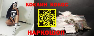 стаф Можга