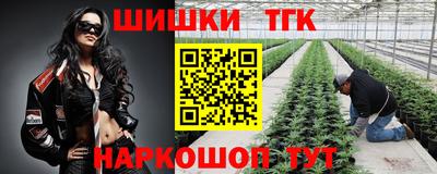 дмт Моздок