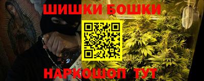стаф Можга