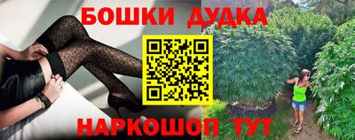 стаф Можга