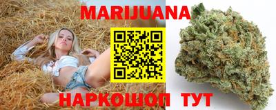 стаф Можга