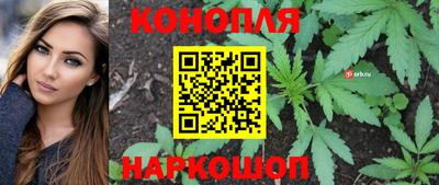 дмт Моздок