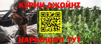 стаф Можга