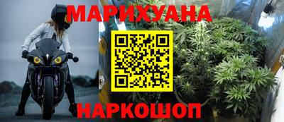 стаф Можга