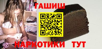 стаф Можга