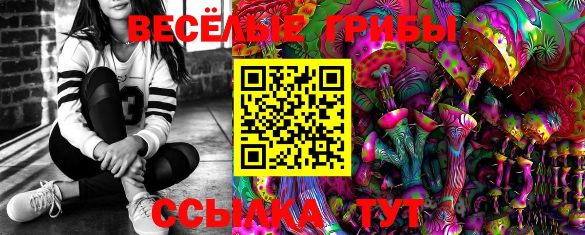 Галлюциногенные грибы Psilocybine cubensis Энгельс