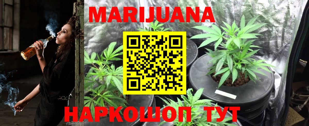 Каннабис ГИДРОПОН Энгельс